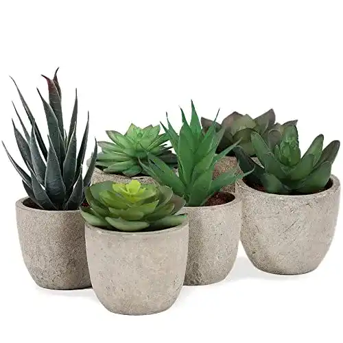 Künstliche Sukkulenten addhome Kunstpflanzen Set 6 naturgetreu