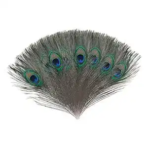 Pfauenfeder Trimming Shop – 10 Stück / 25-30 cm Pfauenaugen