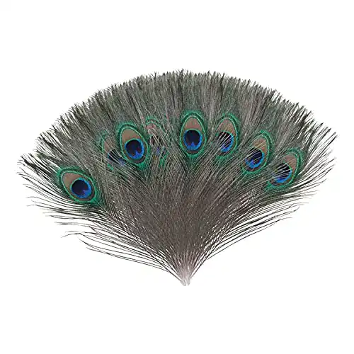 Pfauenfeder Trimming Shop – 10 Stück / 25-30 cm Pfauenaugen