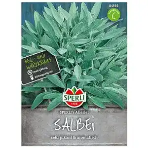 Salbei-Samen Sperli 84592 Premium Salbei Samen Mehrjährig