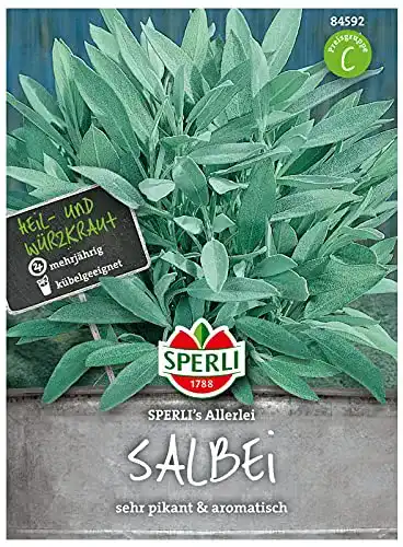 Salbei-Samen Sperli 84592 Premium Salbei Samen Mehrjährig