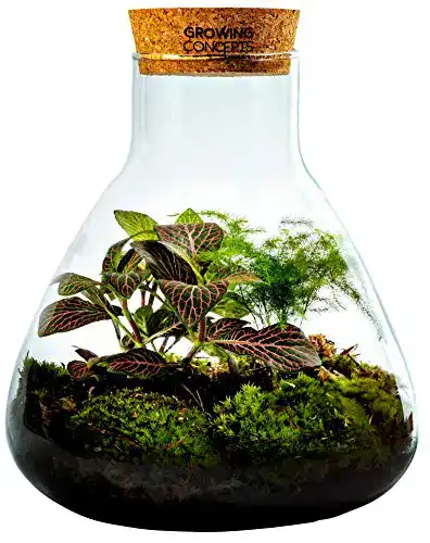 Flaschengarten GROWING CONCEPTS BE DIFFERENT, mit Kork