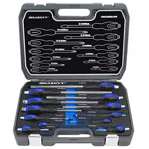 Schraubendreher-Set magnetisch Haskyy 12 tlg.