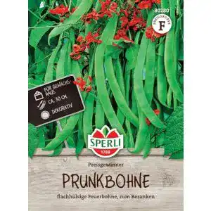 Feuerbohnen-Samen Sperli 80280 Premium Prunkbohnen