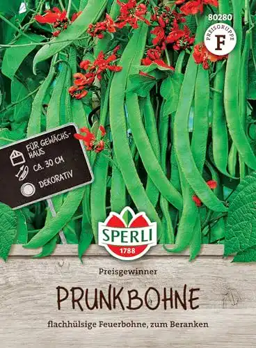 Feuerbohnen-Samen Sperli 80280 Premium Prunkbohnen