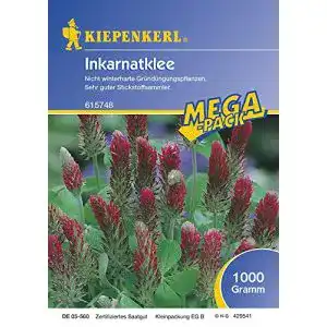Inkarnatklee Kiepenkerl Incarnatklee Kardinal 1 Kg
