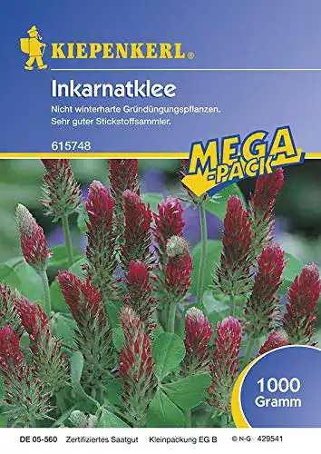 Inkarnatklee Kiepenkerl Incarnatklee Kardinal 1 Kg