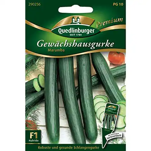 Gurken-Samen Quedlinburger Gewächshaus-Gurke Marumba