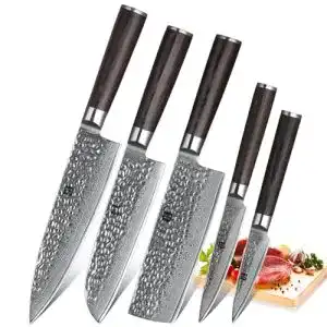 Damastmesser-Set XINZUO 5er Set, mit Pakkawood Griff, He Serie