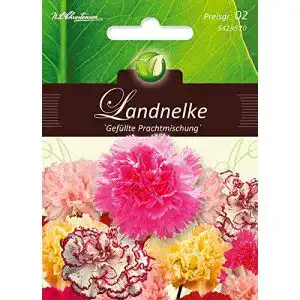 Nelken-Samen N.L.Chrestensen Dianthus, Landnelken, Gefüllt