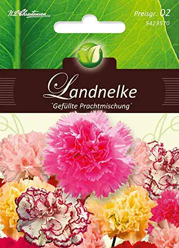Nelken-Samen N.L.Chrestensen Dianthus, Landnelken, Gefüllt