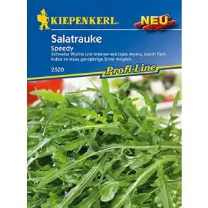 Rucola-Samen Kiepenkerl, Rauke Speedy