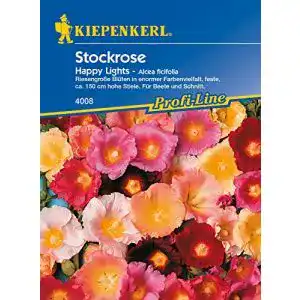 Stockrosen-Samen Kiepenkerl Stockrose Happy Lights