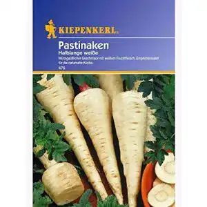 Pastinakensamen Kiepenkerl Pastinaken Halblange weisse