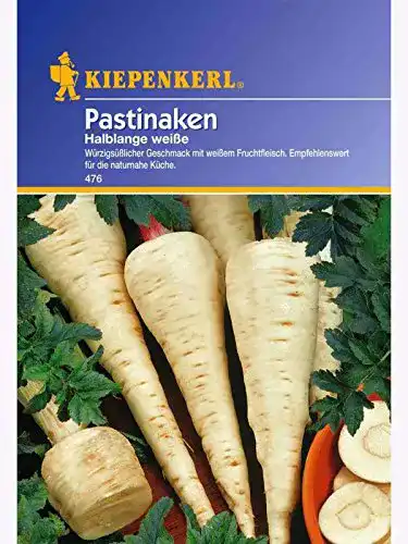 Pastinakensamen Kiepenkerl Pastinaken Halblange weisse