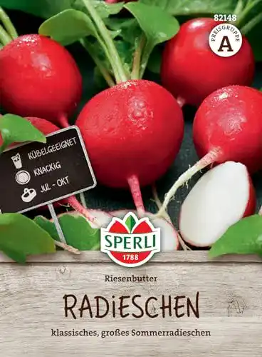 Radieschen-Samen Sperli 82148 Samen Riesenbutter