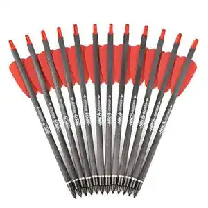 Armbrustpfeile ELONG OUTDOOR 7,5″Armbrustbolzen 12er Pack