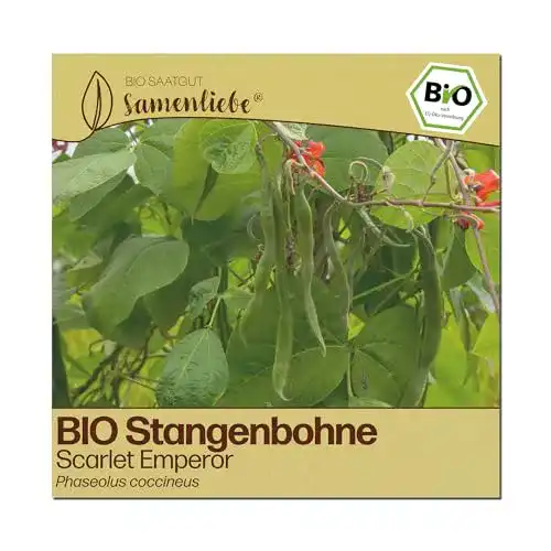 Bohnen-Samen Samenliebe BIO Stangenbohnen Samen alte Sorte Scarlet