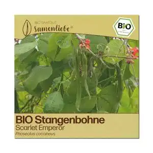 Feuerbohnen-Samen Samenliebe BIO alte Sorte Scarlet Emperor