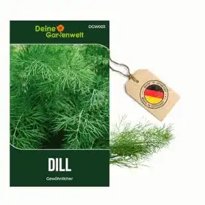 Dill-Samen Deine Gartenwelt Dill Gewöhnlicher Samen