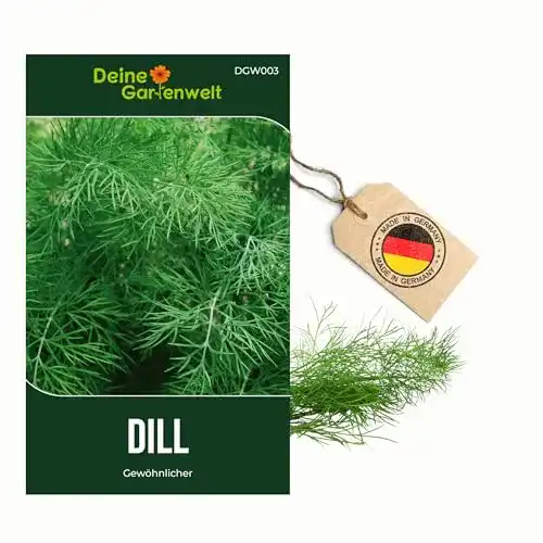Dill-Samen Deine Gartenwelt Dill Gewöhnlicher Samen