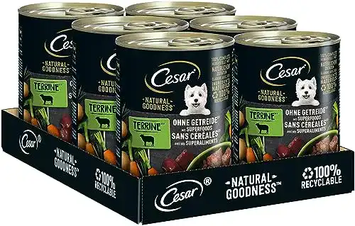 Cesar-Hundefutter Cesar Premium Hundenassfutter mit Lamm 6x
