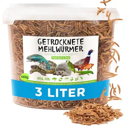 Die beste Mehlwürmer MeerBach & Rose getrocknet, 3 Liter Eimer 2026 Test Bestseller Mehlwürmer MeerBach & Rose getrocknet, 3 Liter Eimer