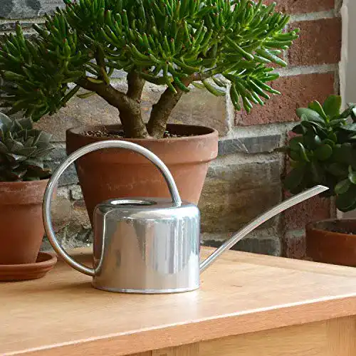 Gießkanne CKB Ltd ® 1,1 l, verzinkter Stahl, mit schmalem Auslauf