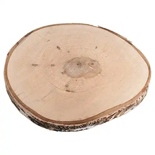 Baumscheibe Rayher 55807000 Birkenscheibe, Dm. 29-32 cm
