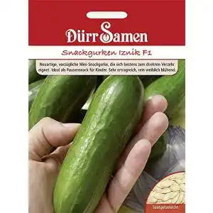 Gurken-Samen Dürr-Samen Gurken Mini Snack Gurke Iznik