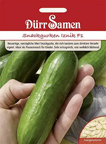 Gurken-Samen Dürr-Samen Gurken Mini Snack Gurke Iznik