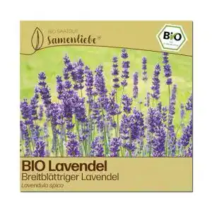 Lavendel-Samen Samenliebe BIO Lavendel Samen alte Sorte