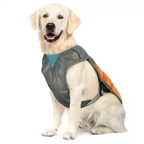 Kühlweste Hund POPETPOP KühlWeste für Hunde – reflektierend