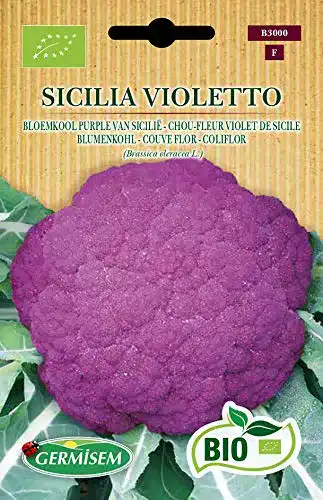 Blumenkohl-Samen Germisem Blumenkohl SICILIA VIOLETTO