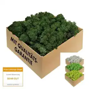 Moos GJS Island in 1kg/500g/200g, versch. Farben
