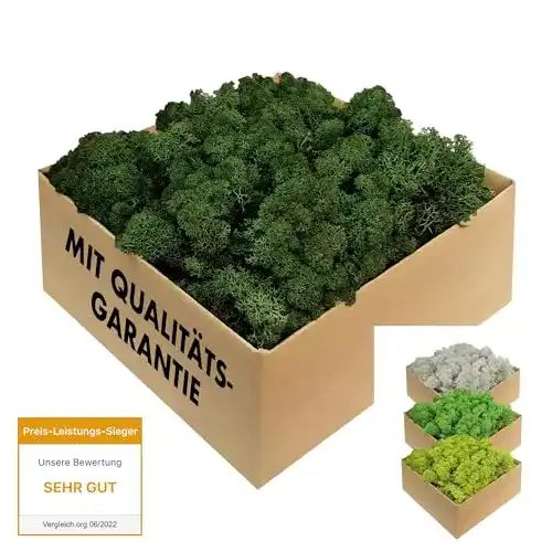 Moos GJS Island in 1kg/500g/200g, versch. Farben