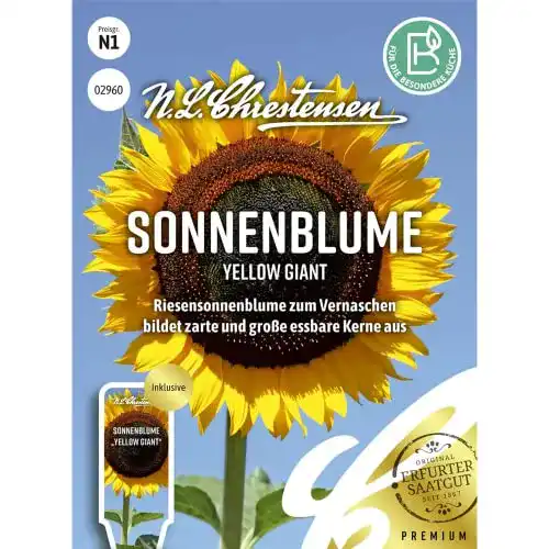 Sonnenblumen-Samen N.L.Chrestensen Sonnenblume Yellow Giant