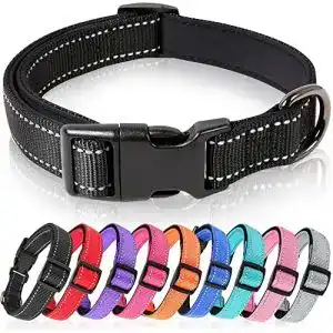 Hundehalsband Welpen HEELE Hundehalsband, Weich gepolstert