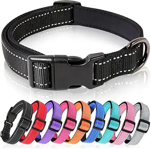 Hundehalsband Welpen HEELE Hundehalsband, Weich gepolstert