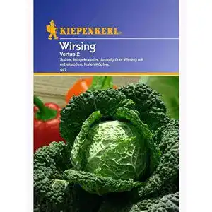Kohl-Samen Kiepenkerl Wirsing Vertus