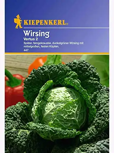 Kohl-Samen Kiepenkerl Wirsing Vertus