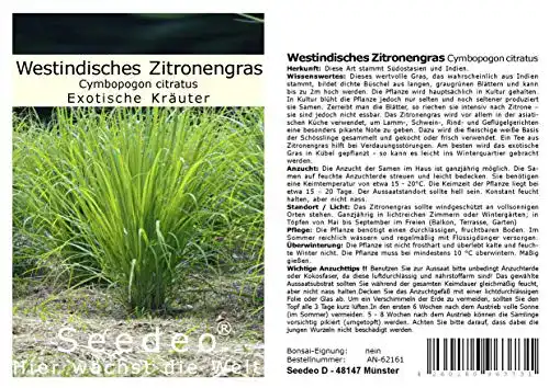 Zitronengras-Samen Seedeo Westindisches Zitronengras