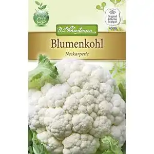 Blumenkohl-Samen Chrestensen Blumenkohl ‘Neckarperle’