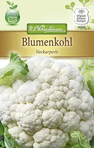 Blumenkohl-Samen Chrestensen Blumenkohl ‘Neckarperle’