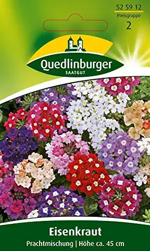 Eisenkraut-Samen Quedlinburger Saatgut, Prachtmischung Samen