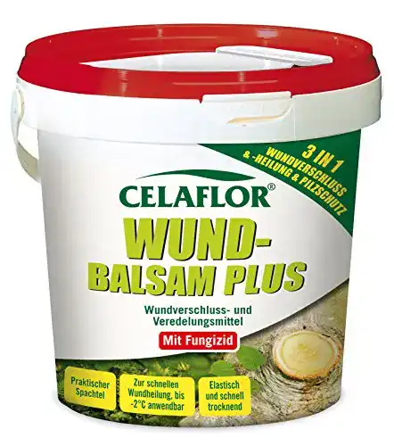 Die beste Baumwachs Celaflor Wundbalsam Plus 3030 - 500 g 2026 Test Bestseller Baumwachs Celaflor Wundbalsam Plus 3030 – 500 g