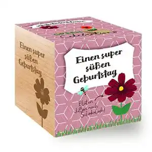 Ecocube Feel Green 296619 Celebrations , Schokoladenblume