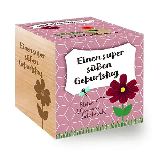 Ecocube Feel Green 296619 Celebrations , Schokoladenblume