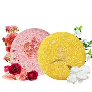 Haarseife X-Vert S 650B 0.2 100% Vegan Shampoo Bar 2 Stück