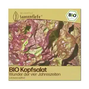Kopfsalat-Samen Samenliebe BIO, Wunder der Vier Jahreszeiten